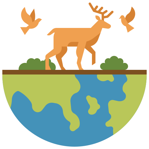 Wild Animals