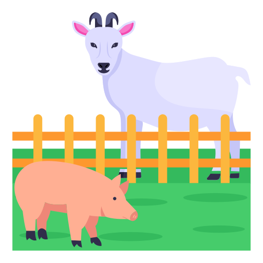 Domestic Animals