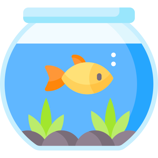 Sea Animals